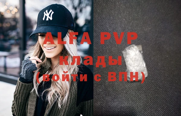 дмт Абаза