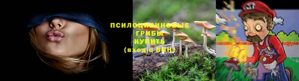 соль ск Абдулино