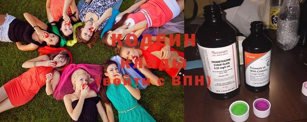 дмт Абаза