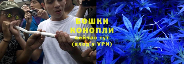 ПСИЛОЦИБИНОВЫЕ ГРИБЫ Алексеевка