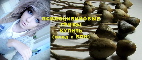 дмт Абаза