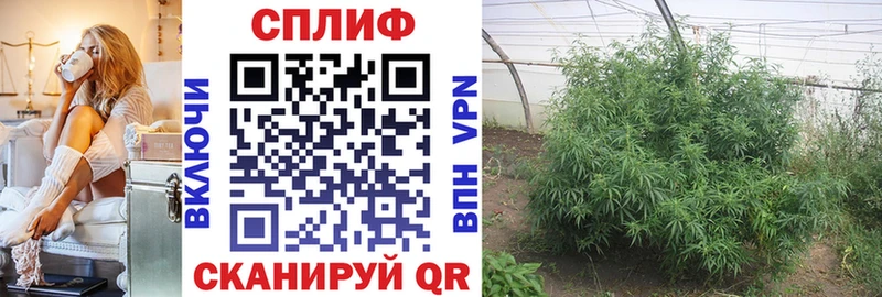 площадка клад  Агрыз  Бошки марихуана сатива  наркота 
